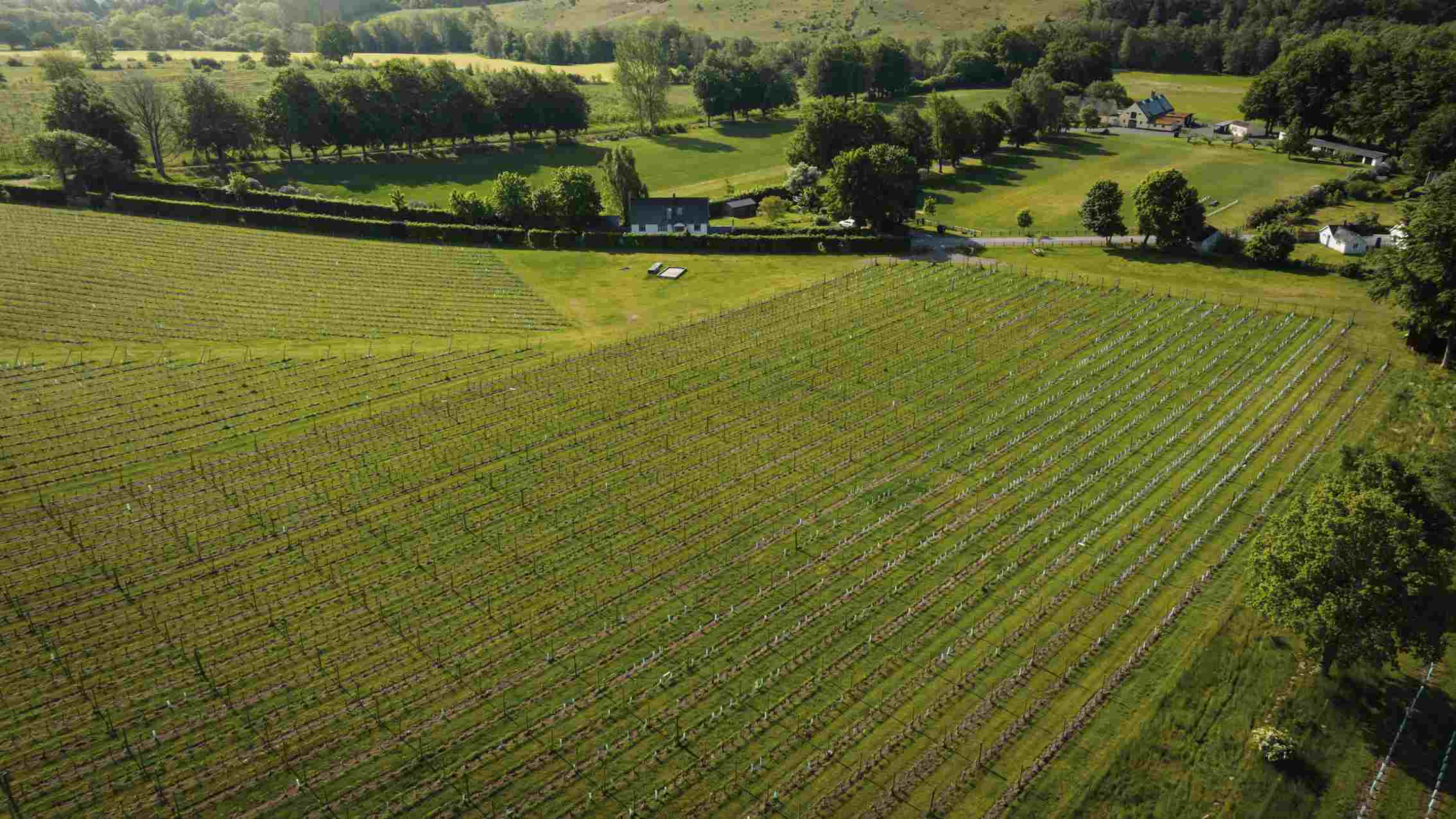 Vin & Sparris p sterlen 